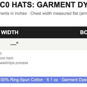 Blank Comfort Colors Garment Dyed Dad Hat, Craft Supply for HTV Embroidery Vinyl Cricut Iron On, Cotton Adjustable Cap image 2