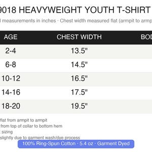 Comfort Colors blank t shirt unisex C1717 garment dyed tee soft cotton top vintage washed relaxed fit casual tee plain cotton shirt image 5