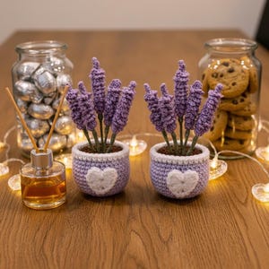Peut inclure: Deux plantes de lavande crochetées dans des pots violet clair avec des appliques en forme de cœur blanc. Chaque pot contient plusieurs tiges de lavande violettes texturées. Les plantes sont disposées avec un diffuseur et deux bocaux.