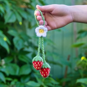 Strawberry Crochet Pattern