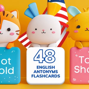 English Antonyms, Opposites Memory Flash Cards - Learn, Play, Memorize - Antonym Words, 48 Adjectives FlashCards