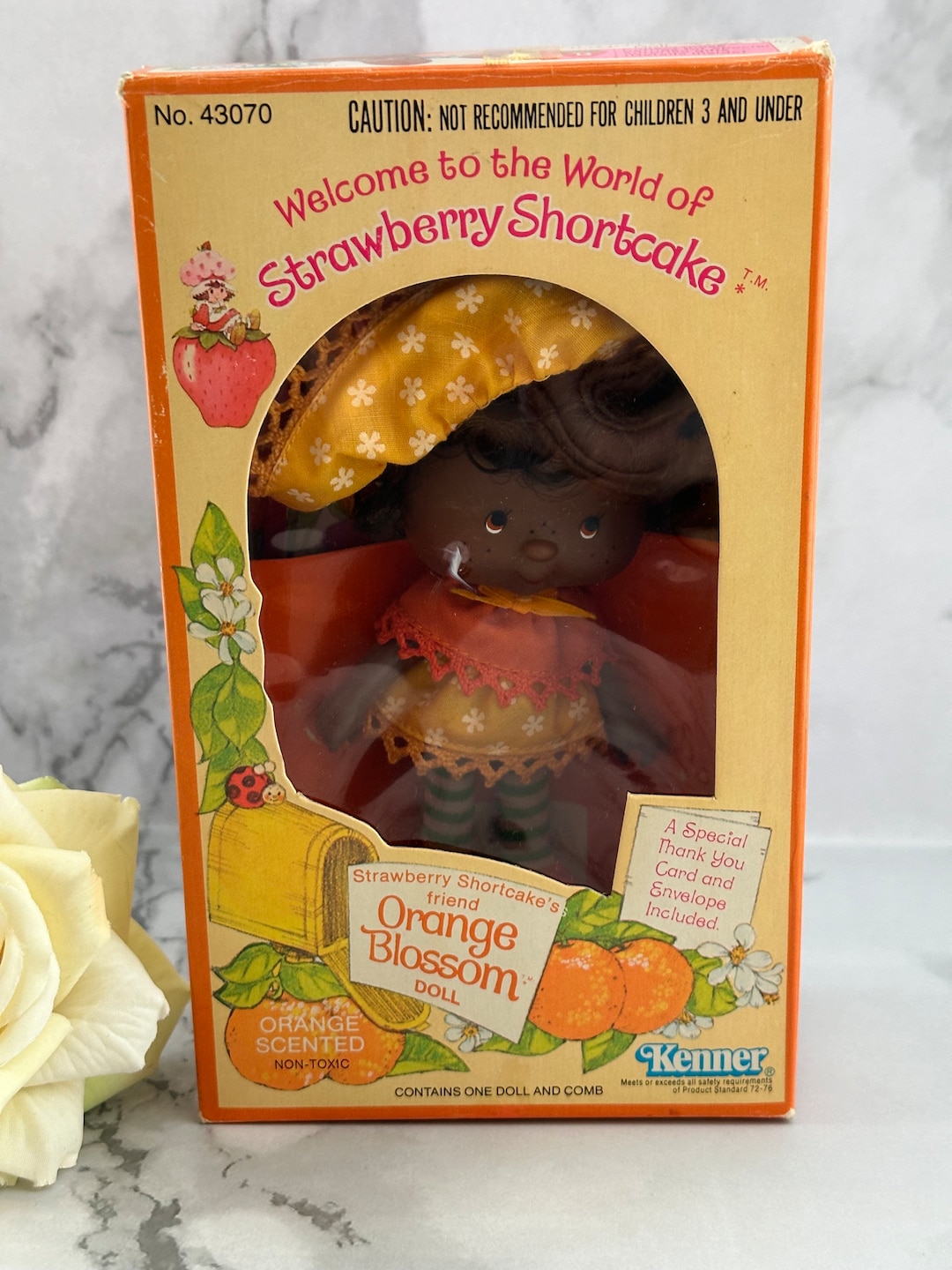 Vintage 1980 Strawberry Shortcake Doll in Box. Orange Marmalade