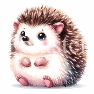 5 clipart de ouriço fofo clipart de ouriço aquarela fofo aquarela aquarela ouriço bebê ouriço presente criança download instantâneo uso comercial