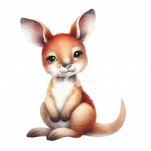 Clipart kangourou mignon kangourou clipart aquarelle mignon kangourou aquarelle aquarelle bébé kangourou cadeau enfants téléchargement immédiat usage commercial