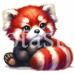 5 Cute red panda clipart red panda watercolor clipart cute watercolor aquarel red panda baby red panda instant download commercial use