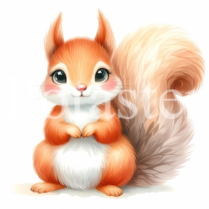 5 clipart scoiattolo carino clipart acquerello scoiattolo clipart acquerello carino clipart aquarel scoiattolo clipart regalo per uso commerciale per bambini