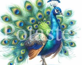 Watercolor Baby Peacock Clipart Set, Nursery Art (Commercial Use, Instant Download)