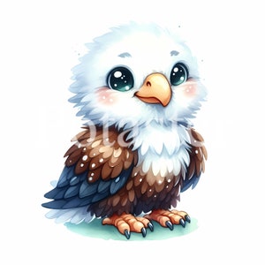 5 lindas imágenes prediseñadas de águila, imágenes prediseñadas de acuarela de águila, lindas imágenes prediseñadas de acuarela, águila bebé, regalo de águila para niños, descarga instantánea, uso comercial