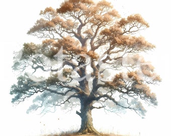 Watercolor Oak Tree Clipart, Spring Summer Art (Digital Download)