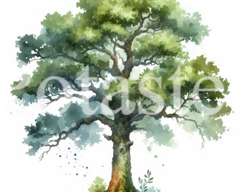 Watercolor Oak Tree Clipart, Green Summer Theme (Digital Download)