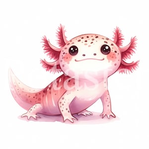 5 Cute axolotl clipart axolotl watercolor clipart cute watercolor aquarel axolotl baby axolotl gift for kids instant download commercial use