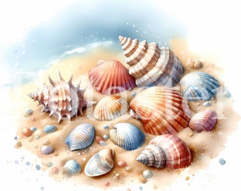 Watercolor Sea Shells Clipart, Beach Themed (Digital Download)
