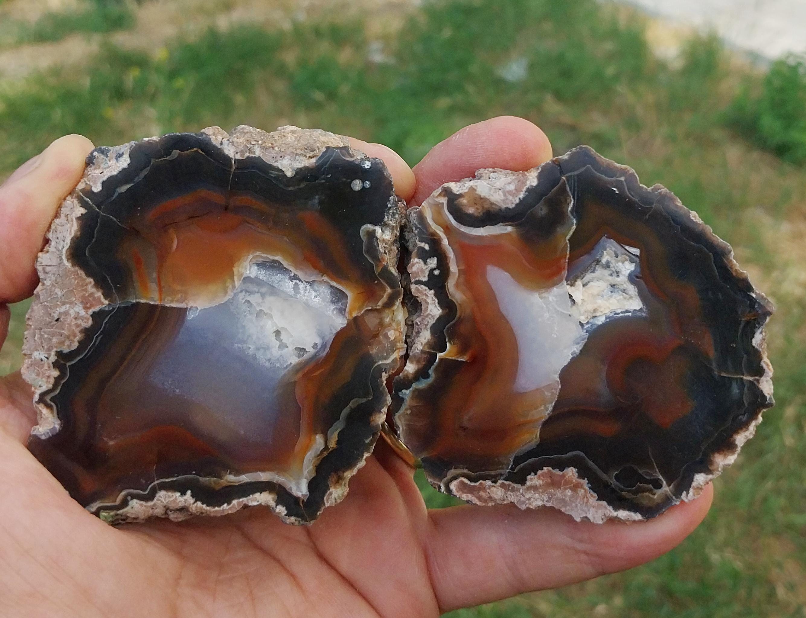 【コレクターズアイテム】レッドフォックスアゲート Red fox agate - Etsy 日本