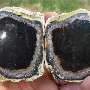 Polished Merlinite Crystal Dendritic Opal Pair