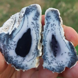 Polished Merlinite Crystal Dendritic Opal Pair