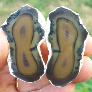 Polished Merlinite Crystal Dendritic Opal Pair