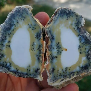 Polished Merlinite Crystal Dendritic Opal Pair
