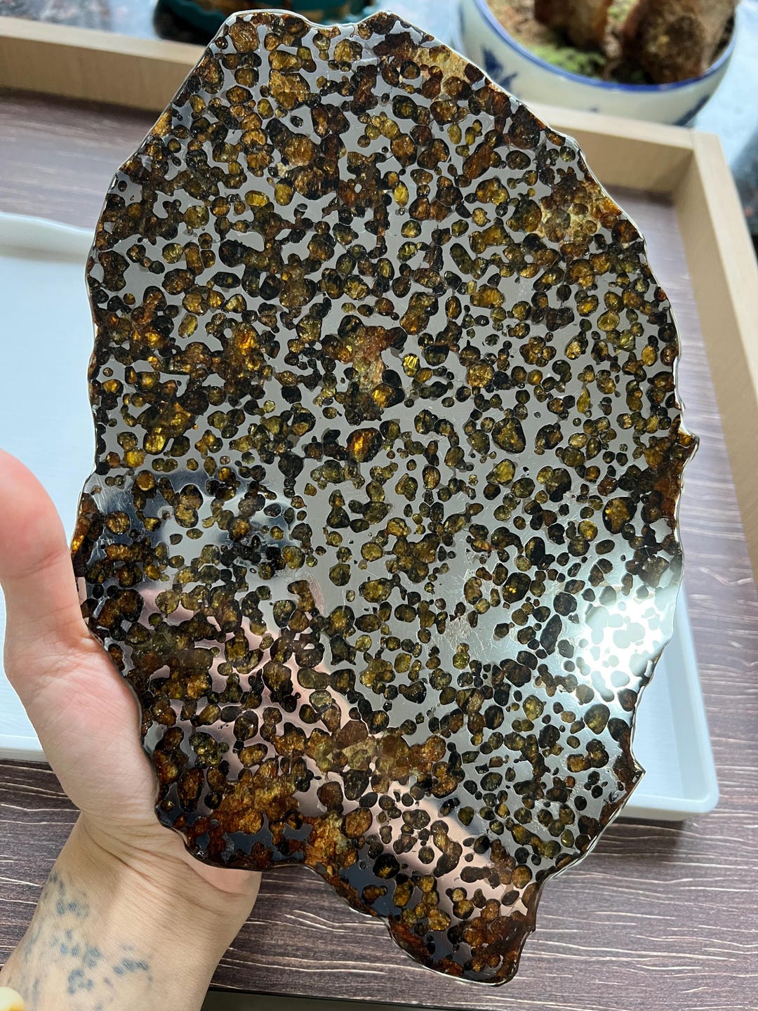 Springwater Pallasite Meteorite Large Slice 495.11g Canada's Rare — free download