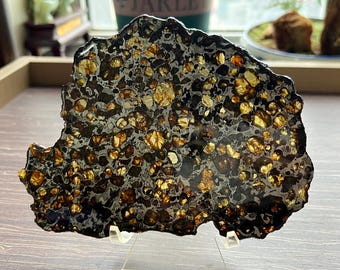 May include: A polished, irregularly shaped meteorite slice. The surface is a mosaic of dark gray, black, and golden-brown crystalline structures. The specimen is displayed on a clear acrylic stand, showcasing its unique texture and color variations.