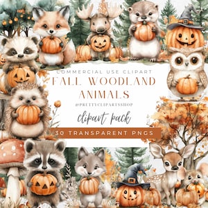 Clipart forêt d'automne, forêt d'automne PNG, animaux de la forêt mignons, clipart champignon, bordure de citrouille, bordures de champignon, ours, cerf, hérisson