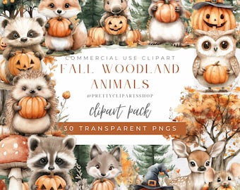 Fall Woodland Animal Clipart: Autumn PNG Set (30 Transparent PNGs)