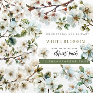 Weiß Blüte Aquarell PNG Cliparts für kommerzielle Nutzung, Frühling Blumen Clipart, weiße Hochzeit Florals, digitaler Download