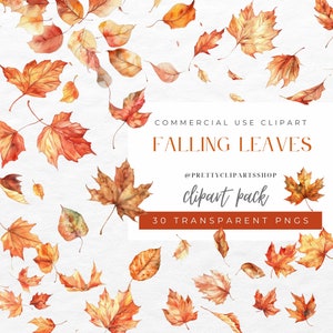 Paquete de imágenes prediseñadas PNG de hojas caídas de acuarela, marcos de borde de licencia de otoño, uso comercial, descarga digital de hojas de otoño