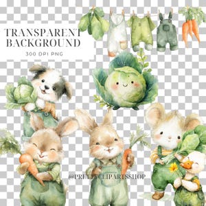 May include: Watercolor illustration featuring adorable animals, including a puppy, rabbits, and a mouse, each holding vegetables like cabbage and carrots. The image also includes baby clothes hanging on a clothesline. The text "TRANSPARENT BACKGROUND 300 DPI PNG" is visible.