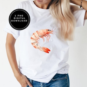 Clipart Estético De Pescador De Camarones Png, Diseños De Pescadores, Clipart Náutico Png, Criatura Marina, Gran Milenio, Acuarela png