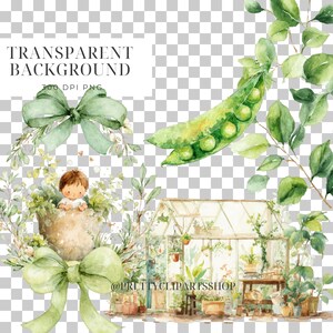 May include: Watercolor illustration featuring a greenhouse, a pea pod, and a baby in a pot surrounded by greenery. The image includes a light green bow and the text "TRANSPARENT BACKGROUND 300 DPI PNG" and "@PRETTYCLIPARTSSHOP".