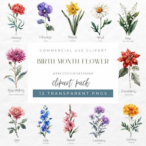 36 Clipart di fiori del mese di nascita, PNG di fiori di nascita, Clipart botanici, Regalo per la festa della mamma, Fiori del mese di nascita dell'acquerello, Floreali