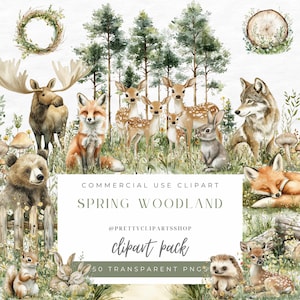 Printemps des bois Clipart animaux PNG paysage forestier bébés animaux crèche Clipart Baby Shower Clipart renard ours lapin écureuil couronne de fleurs