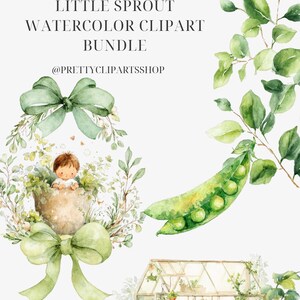 May include: Watercolor clipart bundle titled "Little Sprout" featuring a baby in a pot, a pea pod, and a greenhouse. The image has a soft, pastel color palette with green foliage and a light green bow.