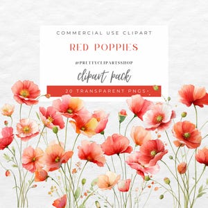 Aquarelle de coquelicots rouges été aquarelle PNG Clipart fleurs sauvages mariage floral Clip Art frontière botanique téléchargement numérique