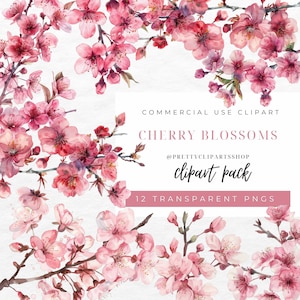 Roze kersenbloesem aquarel PNG cliparts, lente bloemen cliparts, Sakura bloemen, PNG lente takken, Instant Download