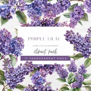 Violet lilas aquarelle PNG Clipart pour un usage Commercial, Clipart fleurs de printemps, mariage numérique Clipart, clipart Floral, couronne de fleurs