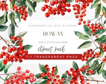 May include: A digital clipart pack of 11 transparent PNG images featuring watercolor illustrations of red rowan berries and green leaves. The text "ROWAN clipart pack 11 TRANSPARENT PNGS" is displayed on a white background.