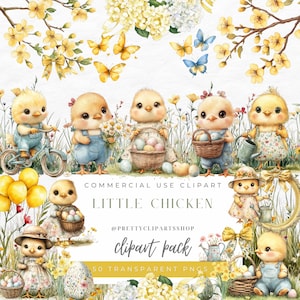 Petit poulet de Pâques Clipart printemps aquarelle cottagecore usage commercial fête d'anniversaire baby shower floral sublimation PNG cadre vintage
