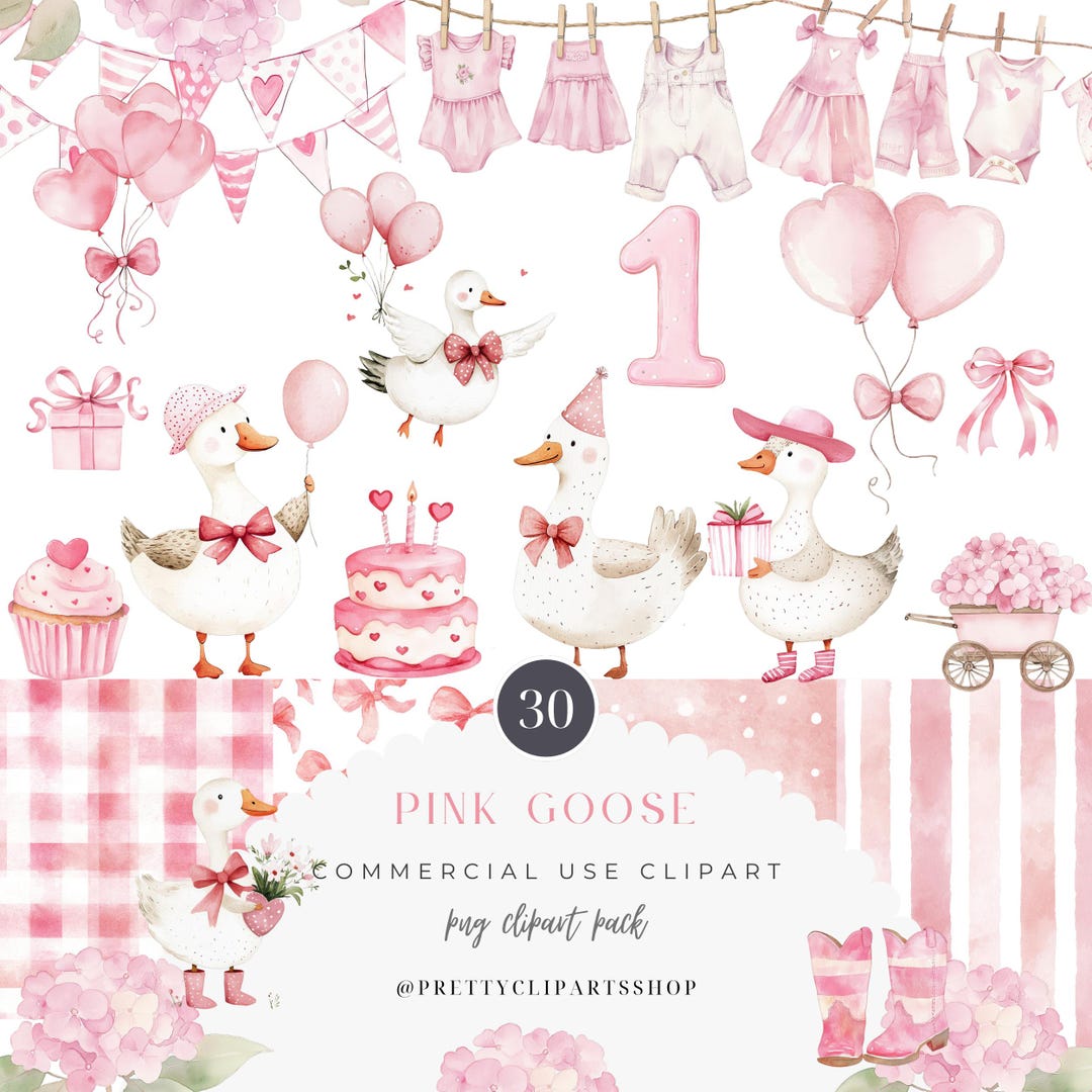 Pink Silly Goose Watercolor Clipart Bundle, Coquette Birthday, Nursery ...