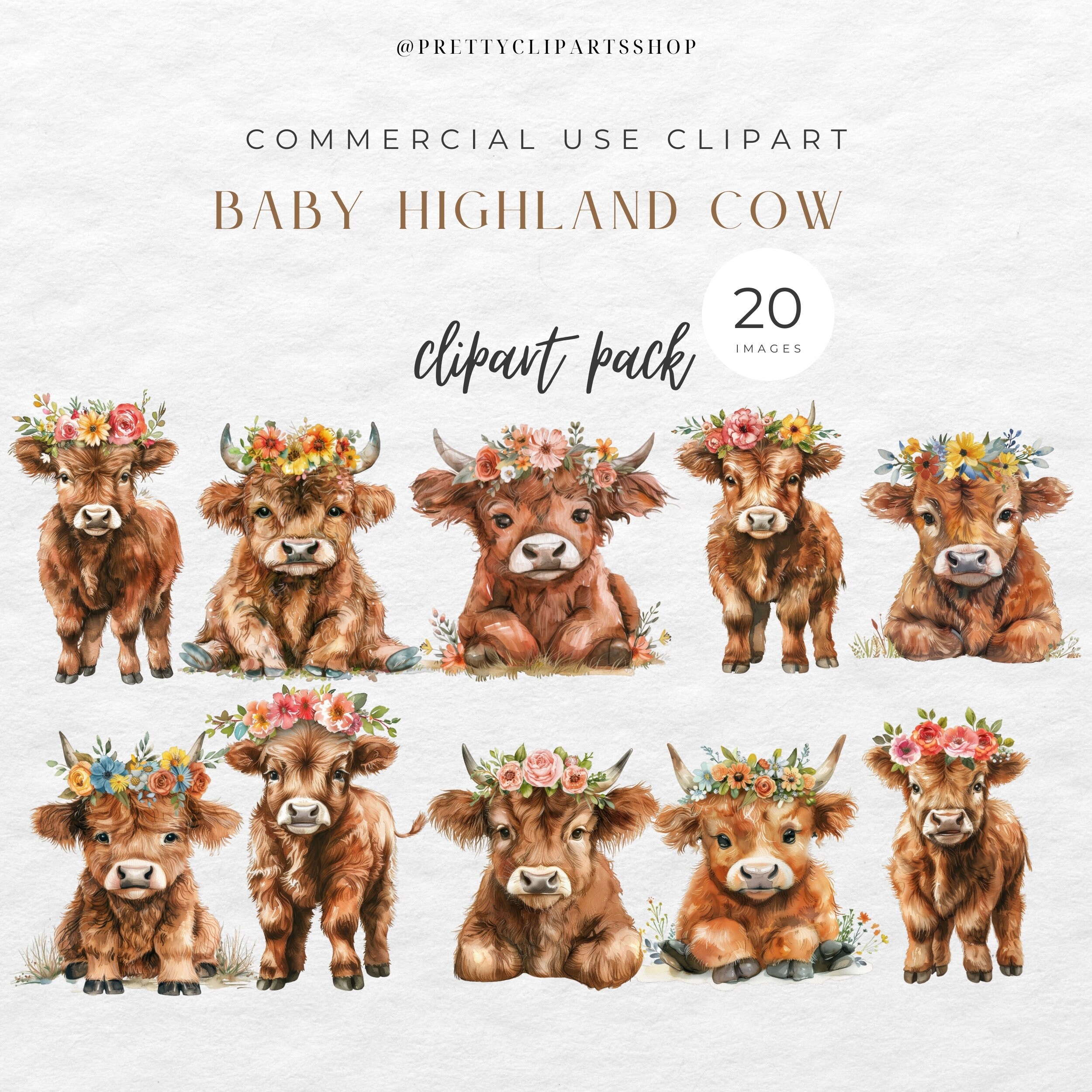 Highland Cow Baby Shower Clipart Set for Commercial Use, Boho Flower ...