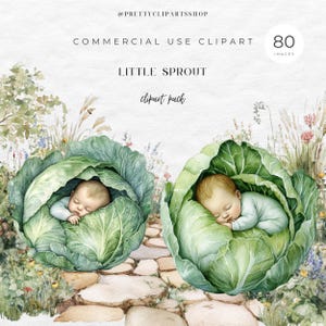 May include: Watercolor illustration of two babies sleeping inside large green cabbages. The image is labeled "LITTLE SPROUT clipart pack" and includes the text "COMMERCIAL USE CLIPART" and "80 IMAGES".