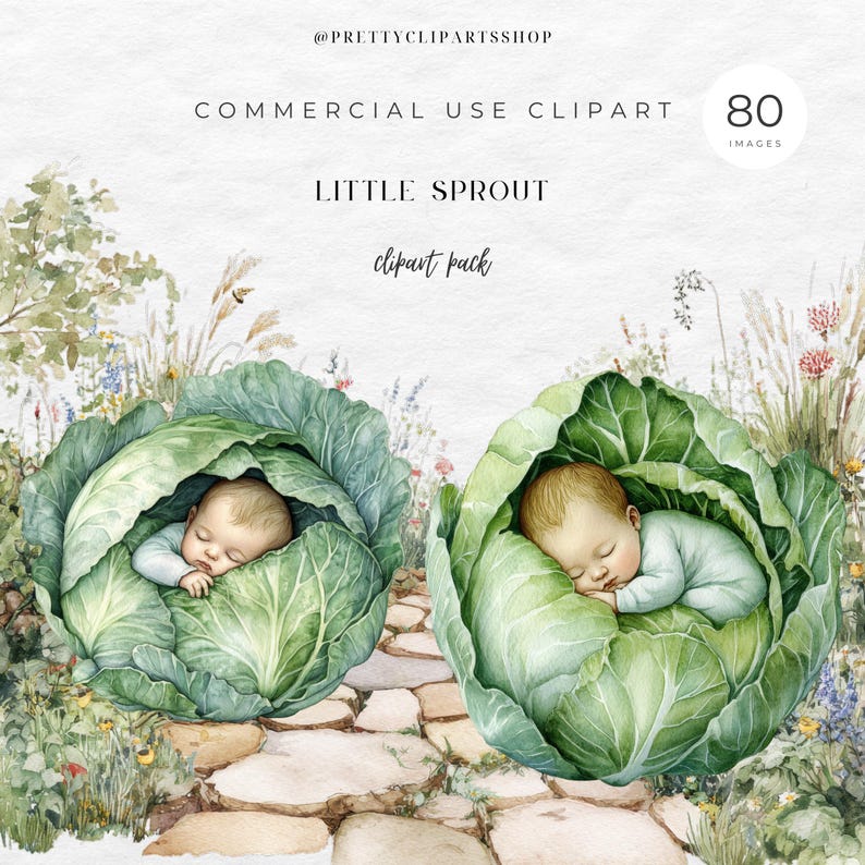 May include: Watercolor illustration of two babies sleeping inside large green cabbages. The image is labeled "LITTLE SPROUT clipart pack" and includes the text "COMMERCIAL USE CLIPART" and "80 IMAGES".