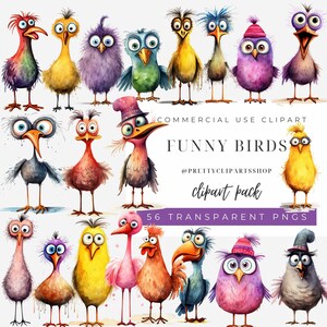Bundle de cliparts drôle d'oiseau PNG drôle d'oiseau Illustration d'oiseau original aquarelle mignon clipart original poulet clipart Tshirt PNG clipart