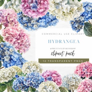 Pack de cliparts floral hortensia aquarelle pastel, clipart pour usage commercial, PNG transparents, fleurs botaniques de mariage bleu poussiéreux