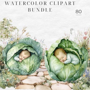 May include: Watercolor clipart bundle titled "Little Sprout" featuring two babies sleeping inside green cabbage leaves. The image includes a stone path and floral accents, with the text "80 Images".