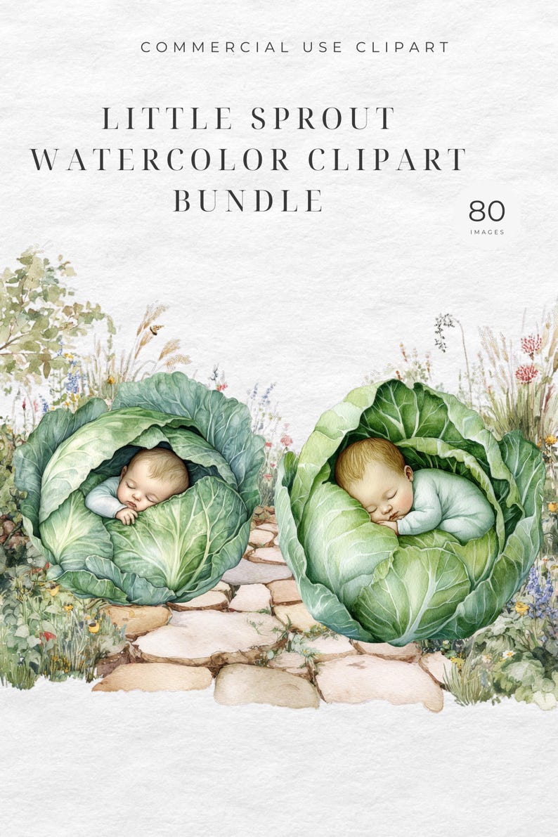 May include: Watercolor clipart bundle titled "Little Sprout" featuring two babies sleeping inside green cabbage leaves. The image includes a stone path and floral accents, with the text "80 Images".