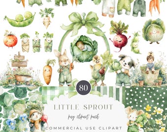 Little Sprout Watercolor Clipart PNG Bundle Set Cabbage Baby Locally Grown Farmers Market Fruit and Veg PNG Baby Shower
