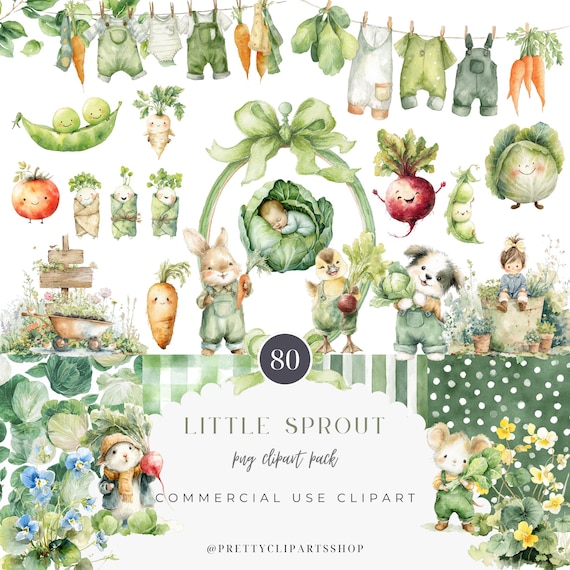 Little Sprout Watercolor Clipart PNG Bundle Set Cabbage Baby Locally Grown Farmers Market Fruit and Veg PNG Baby Shower