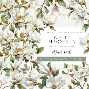 White Magnolia Acuarela PNG Cliparts para uso comercial, Flores de primavera Clipart, Flores de boda blancas, Descarga digital