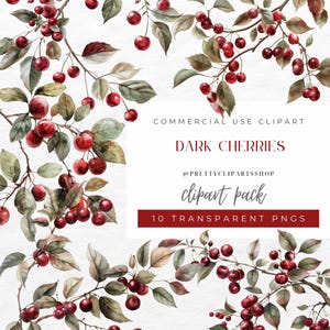 Vintage Watercolor Cherry Branch Clipart: Dark Red PNG (Digital Download)